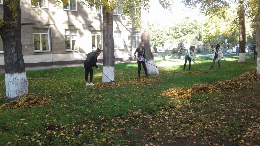 20180928_102142.jpg