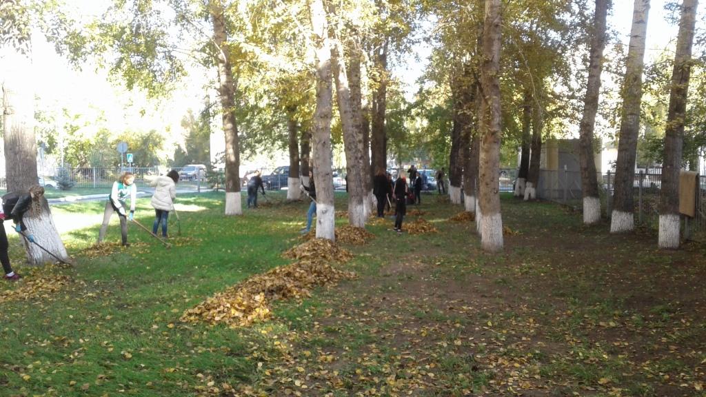 20180928_102202.jpg