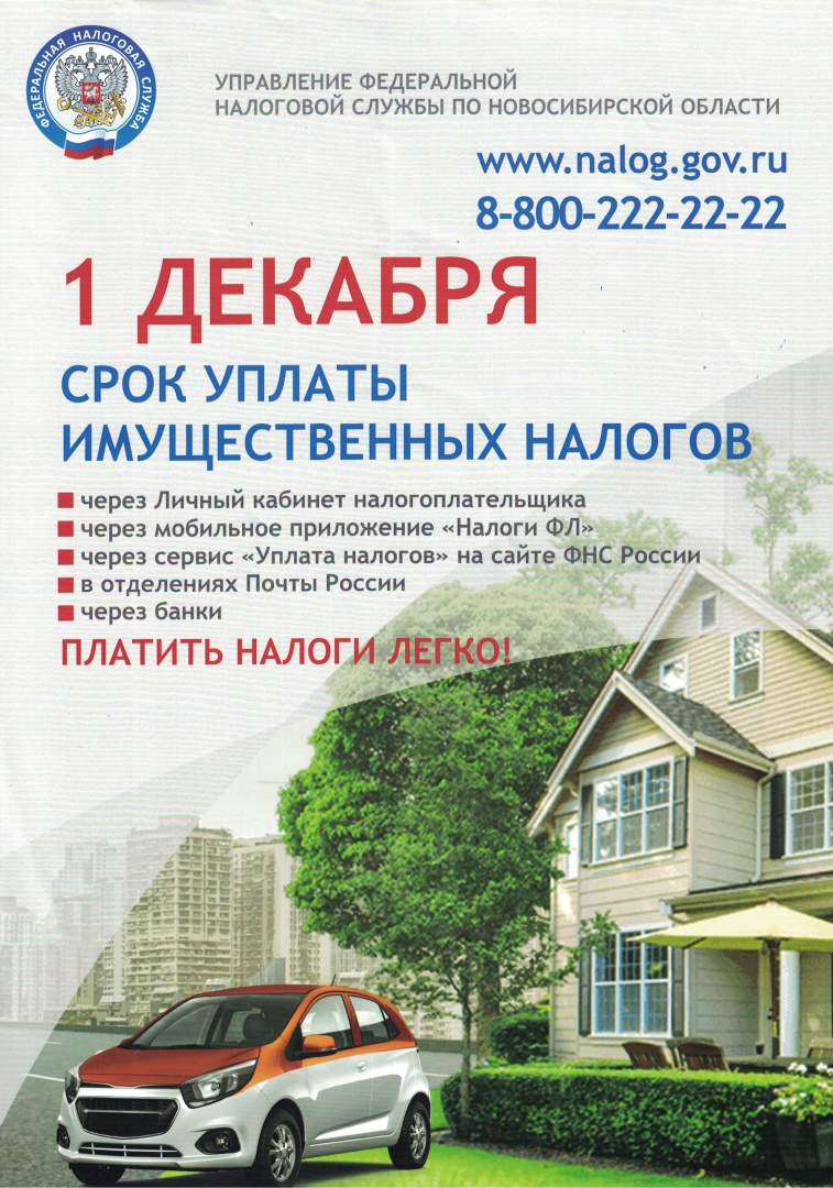 Налоги.jpg Налоги.jpg